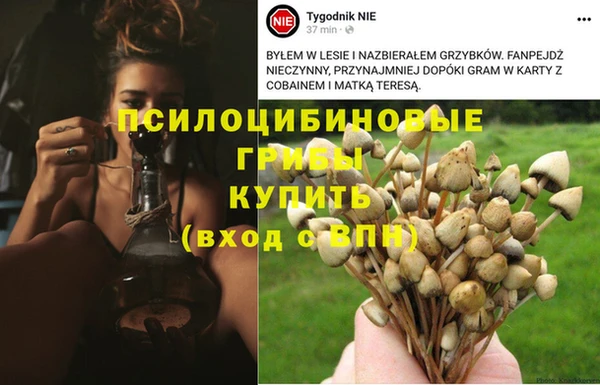 mdpv Нягань