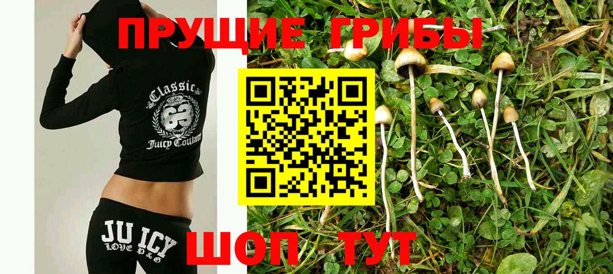 Псилоцибиновые грибы Magic Shrooms  Вход с VPN  Югорск 